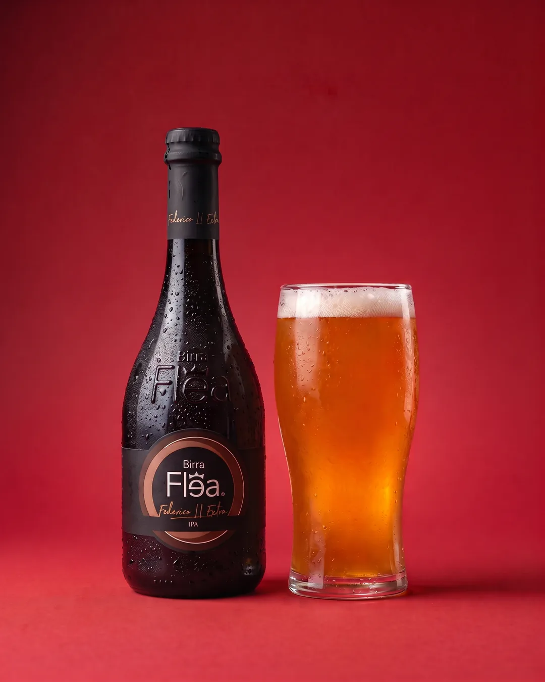 Birra Flea IPA 6,6° 33 cl